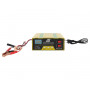 Batteriladdare 14A Billaddare för 12V 24V Batterier