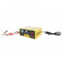 Batteriladdare 14A Billaddare för 12V 24V Batterier