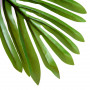 Konstväxt Palm 150 cm med Svart Kruka
