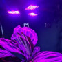 Växtlampa 108 LED Till E27 Socket