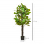 Konstväxt 155 cm Ficus Fiolblad med Kruka
