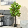 Konstväxt 155 cm Ficus Fiolblad med Kruka