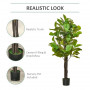 Konstväxt 155 cm Ficus Fiolblad med Kruka