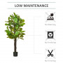 Konstväxt 155 cm Ficus Fiolblad med Kruka