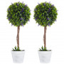 2x Konstväxt lavendel på stam 60 cm