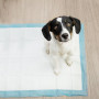 Hygieniska Absorberande Duk Till Husdjur 50 st + Hund Bajspåsar 30 st