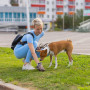 Hygieniska Absorberande Duk Till Husdjur 50 st + Hund Bajspåsar 30 st