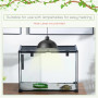 Glasbur / Avelslåda för Reptiler, Spindeldjur Med Termometer 50 x 30 x 35 cm Terrarium