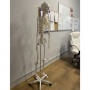 Anatomiskt skelett - Skelettmodell med muskel- och benmarkering - Människoskelett Modell - 180 cm
