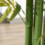 Konstgjord Växt Bambu H.180 cm