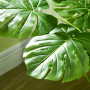 Konstväxt Monstera Deliciosa H. 120 cm