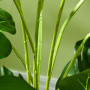 Konstväxt Monstera Deliciosa H. 120 cm
