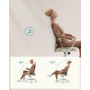 Ergonomisk Kontorsstol med Gungfunktion - Cappuccino-beige / Vit - 120 kg