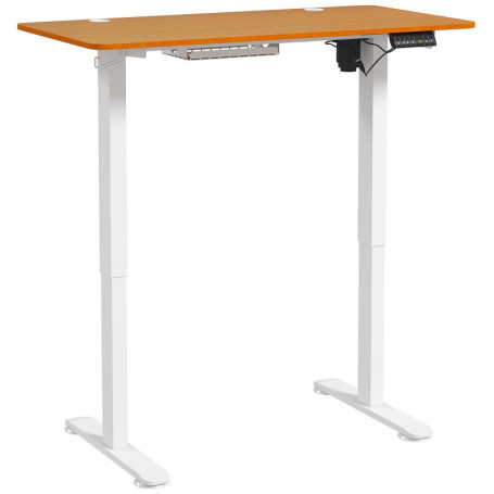 Höj- och Sänkbart Skrivbord med Minne 120 x 60 x 72 - 116 cm Brun/vit