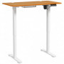Höj- och Sänkbart Skrivbord med Minne 120 x 60 x 72 - 116 cm Brun/vit