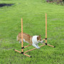 Hund Agility Set Slalomstavar Hopphinder 6 delar
