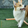 Hund Agility Set Slalomstavar Hopphinder 6 delar
