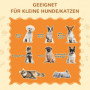 Hund / Katt trappa 3 Steg med Koja 79 x 38,5 x 45 cm Grå