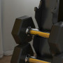 Hantelställ för 10 Hantlar 5 Nivåer Stålram upp till 100 kg