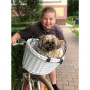 Cykelkorg för Husdjur