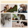 Katthus 3 nivåer med Kattsäng, Klösbräda - Brun