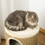 Katthus 3 nivåer med Kattsäng, Klösbräda - Brun