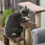 Katt Trappa Med Skrapstolpe 4-stegs - Vit 60 x 40 x 64 cm Brun
