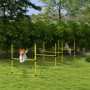 Hundträning Set 4x Hopphinder Gul