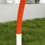 Hund Agility Träning Set 4 Delar 89 x 69 x 99 cm Vit - Orange