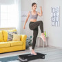 Aerobic Stepper Justerbar 68 x 29 x 15 cm Grå Svart