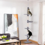 Hög Klösträd Golv till Tak Grå 40 x 34 x 230 - 260 cm