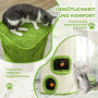 Kattgrotta 76 cm (H) Klöspelare Grön/Gräddvit