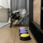 Ljudtalande hundknappar för lärande Rolig inspelningsträning x4
