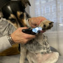 Kloklippare med Lampa / Nagelklippare för Hund & Katt
