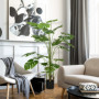 Konstväxt Monstera Deliciosa 1,8 m