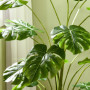 Konstväxt Monstera Deliciosa 1,8 m