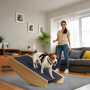 Agility Hundgunga, 2-i-1 Rocker och trappa, halkfri, granträ, 80 x 39,5 cm