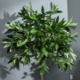 2 st Konstgjorda Växter Lagerträd 90 cm (H) Grön