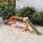 Agility Hundramp, bana, halkfri, väderbeständig, trä, 325 x 55 x 69 cm