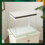 Akvarium 41 L med Filter LED-belysning, vattenpump 48 x 30 x 41 cm