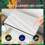 Akvarium 41 L med Filter LED-belysning, vattenpump 48 x 30 x 41 cm