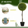 Konstväxt 2 st Eucalyptus 90 cm (H)