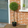 Konstväxt 2 st Eucalyptus 90 cm (H)