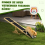 Hund Agility Gungbräda 180 x 30 x 30 cm