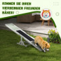 Hund Agility Gungbräda 180 x 30 x 30 cm Vit