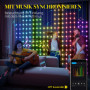 400 LED Gardin 3 x 3 m Dynamiska Strängljus med Musiksynkronisering
