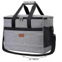 Kylväska 20L