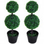 Konstväxt 2-pack Buxbom Ø23 x 67H cm