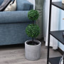 Konstväxt 2-pack Buxbom Ø23 x 67H cm