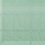 Växthus Halvtunnel med Hyllor 300 x 150 x 213 cm Grön